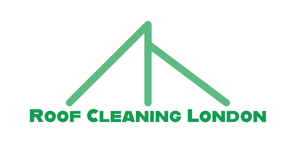 Roof Cleaning London Logo