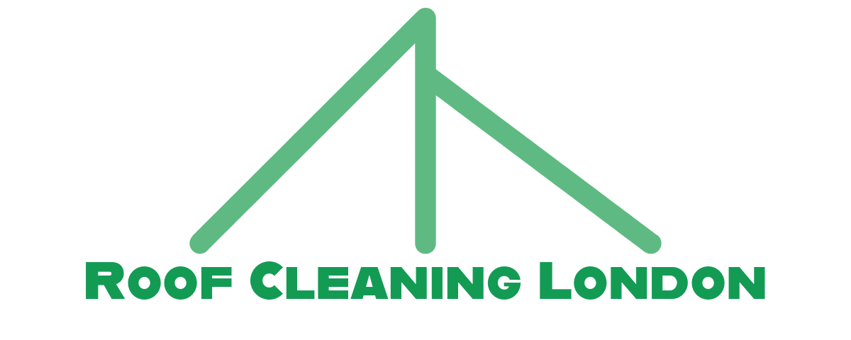 Roof Cleaning London Logo